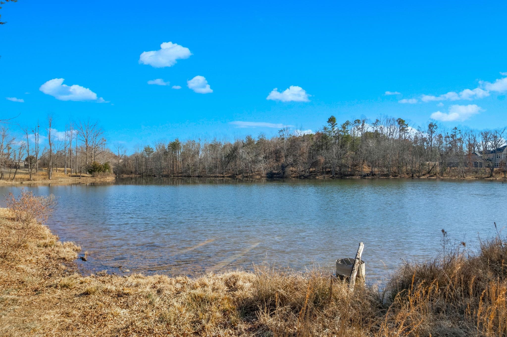 534 Bucklebury Road Greer, SC 29651 - Photo 36 of 40