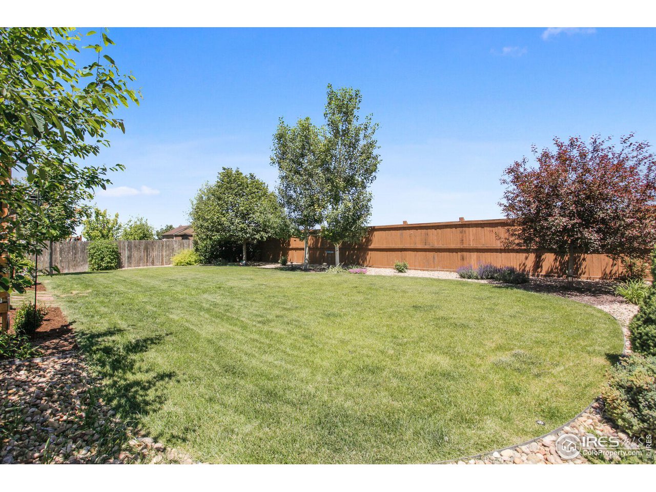 8543 Raspberry Drive Frederick, CO 80504 - Photo 26 of 30