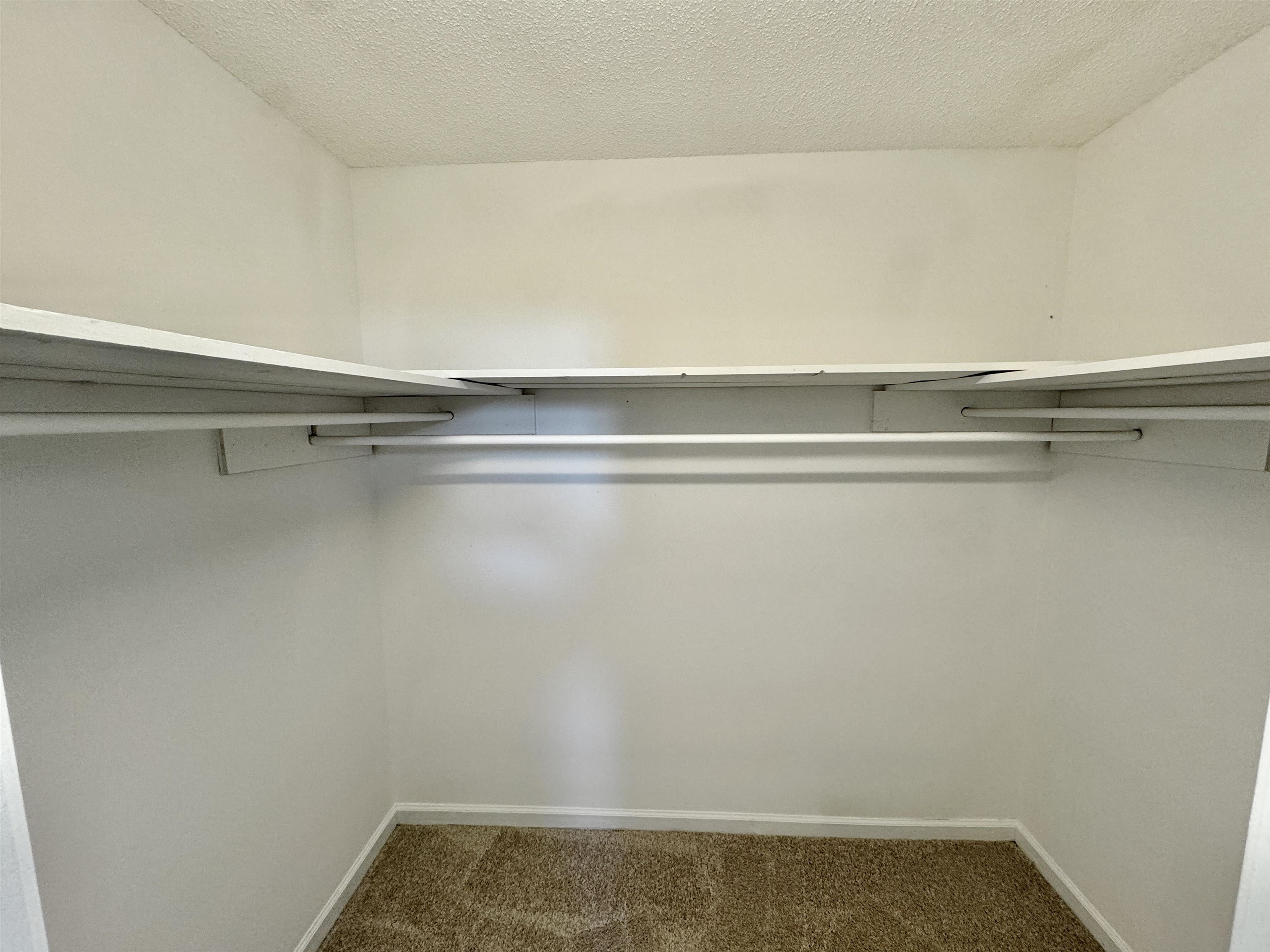 775 Portersville Road Atoka, TN 38004 - Photo 21 of 37 Spacious closet featuring carpet flooring