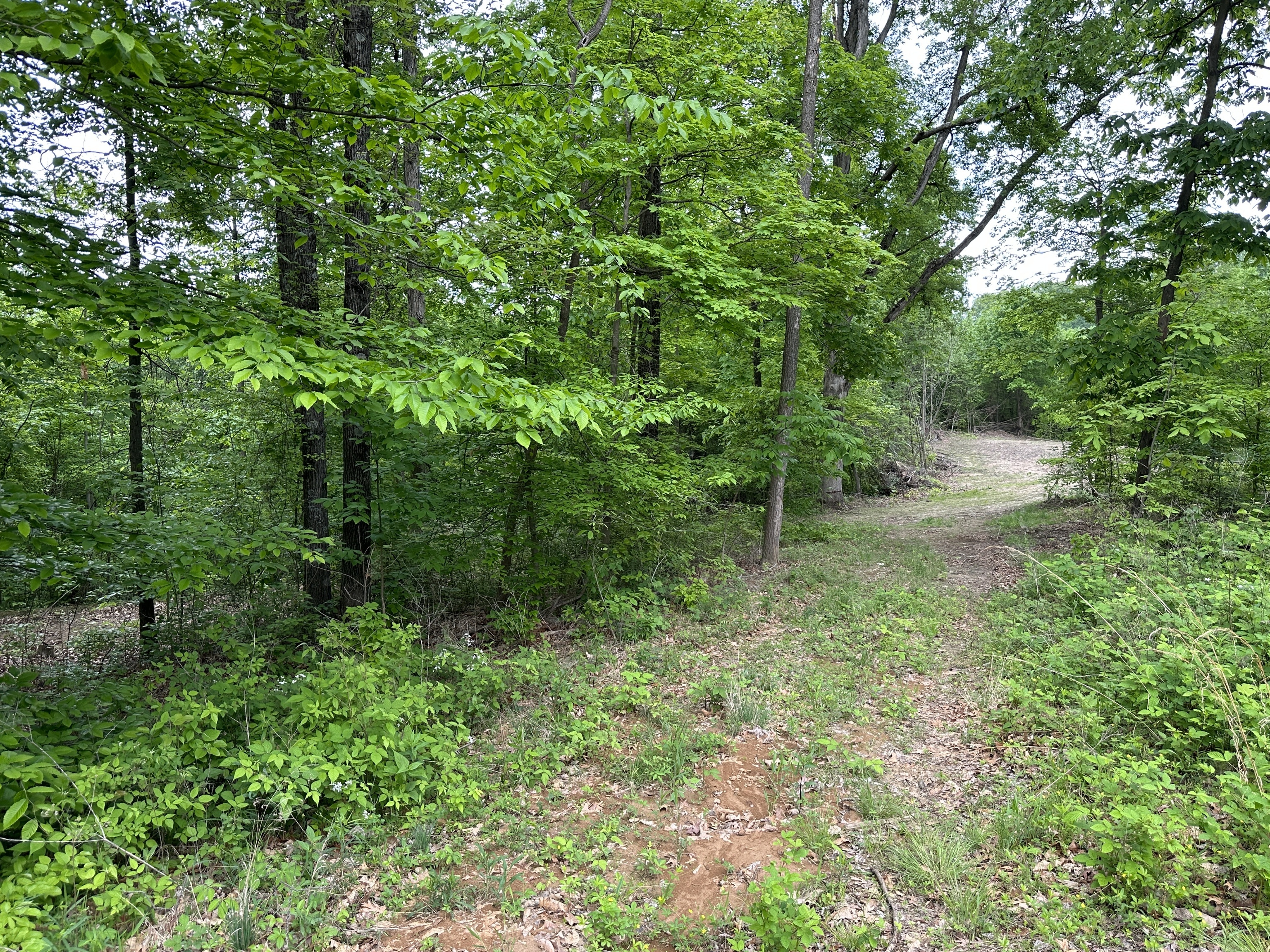 6395 Beech Tree Road Nineveh, IN 46164 - Photo 2 of 5