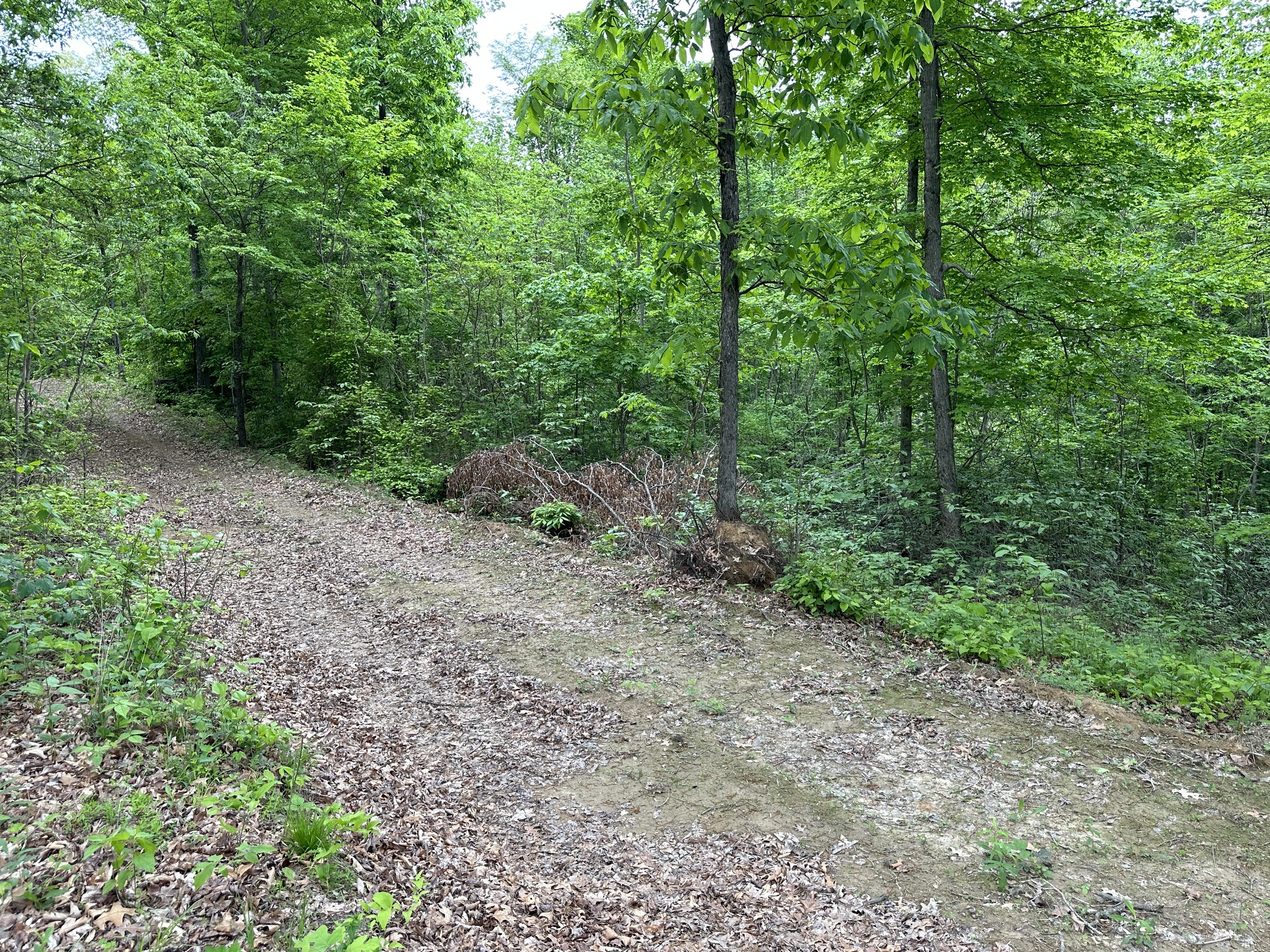 6395 Beech Tree Road Nineveh, IN 46164 - Photo 3 of 5