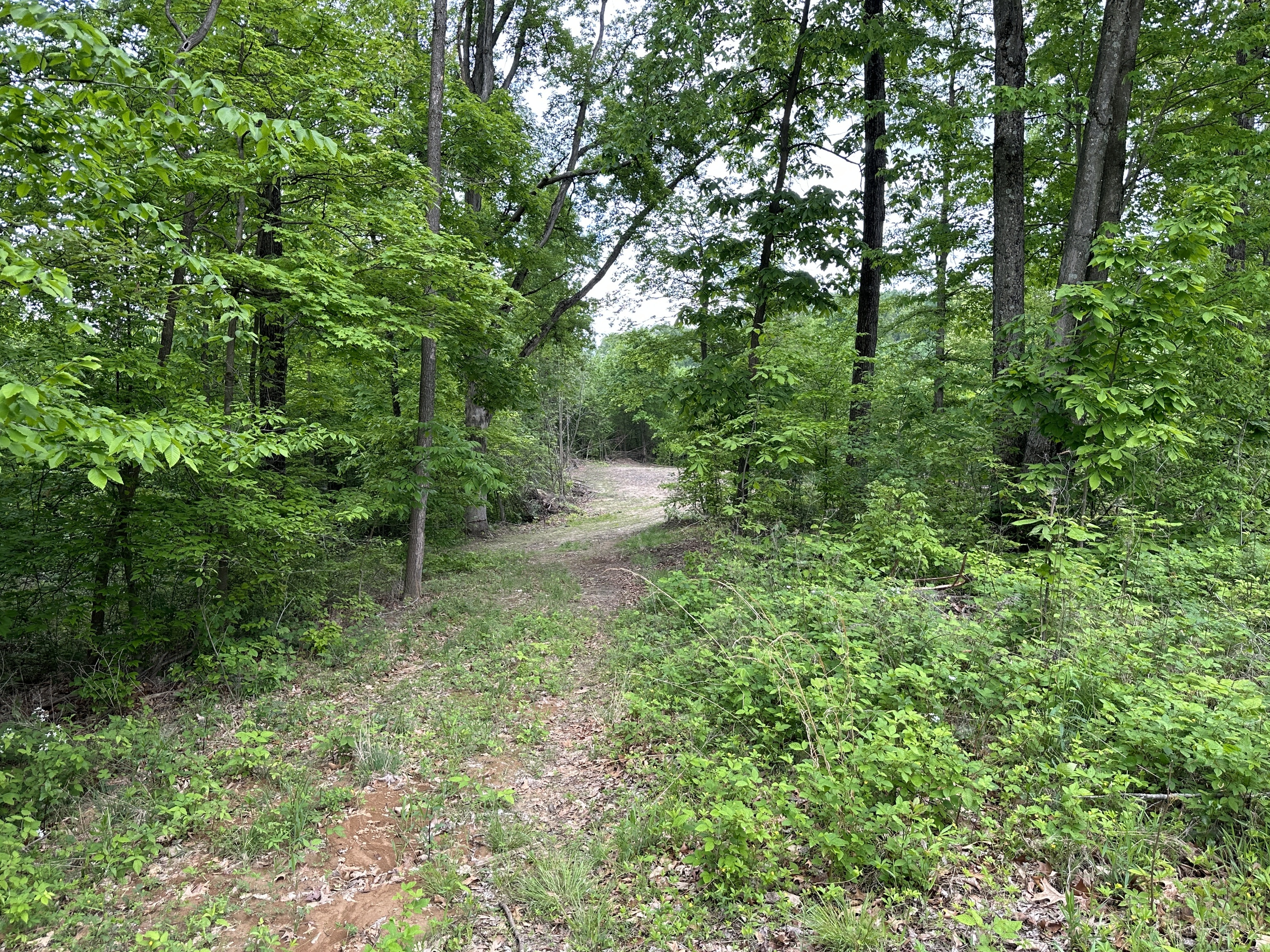 6395 Beech Tree Road Nineveh, IN 46164 - Photo 4 of 5