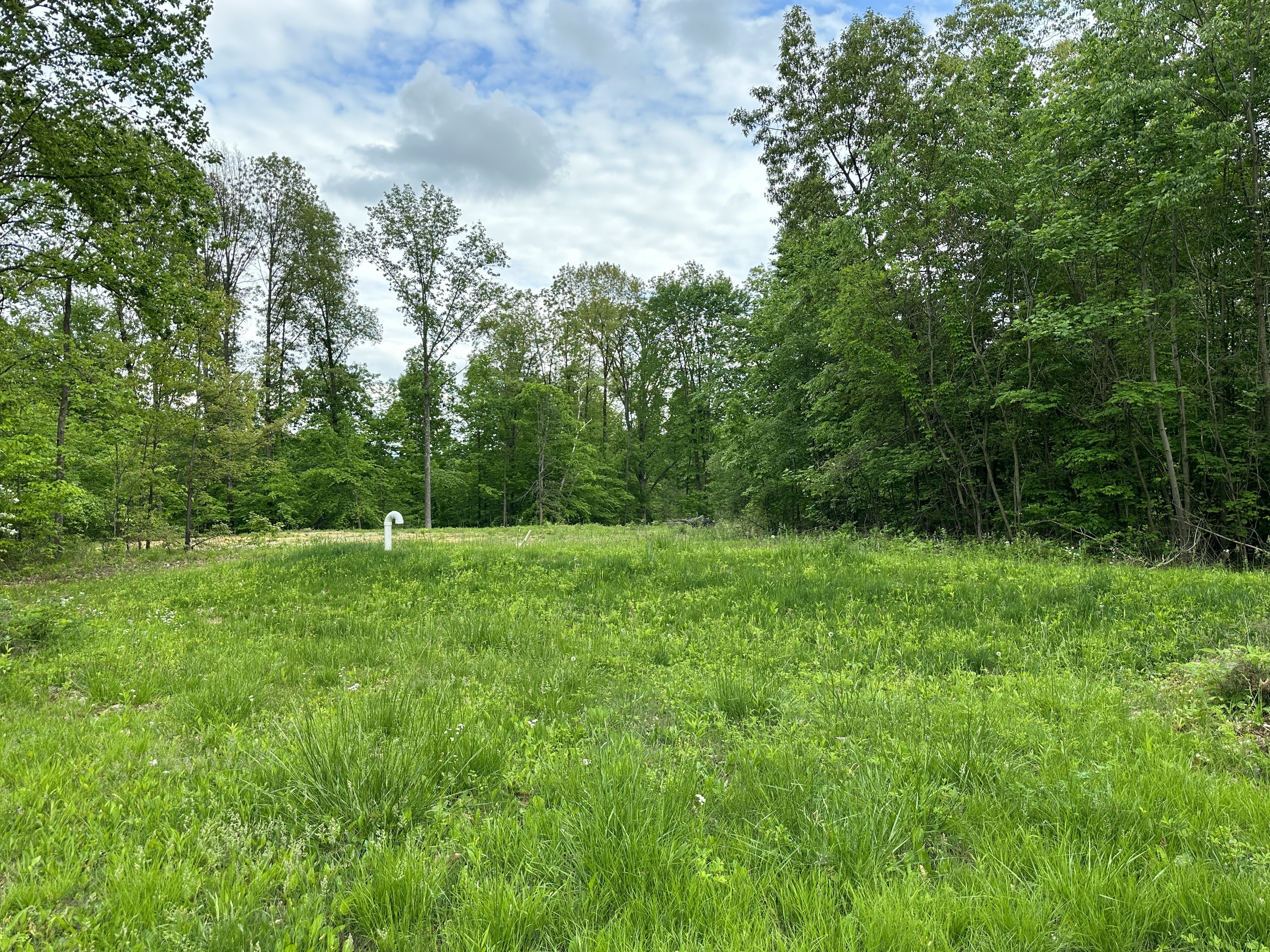 6395 Beech Tree Road Nineveh, IN 46164 - Photo 5 of 5