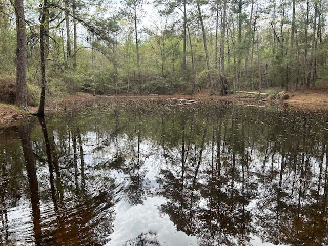 2108 Charlie Boyd Road Jayess, MS 39641 - Photo 11 of 17 Photo 11
