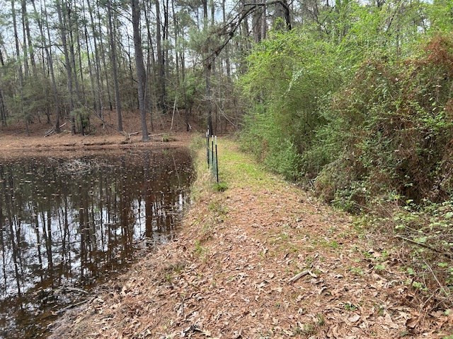 2108 Charlie Boyd Road Jayess, MS 39641 - Photo 12 of 17 Photo 12