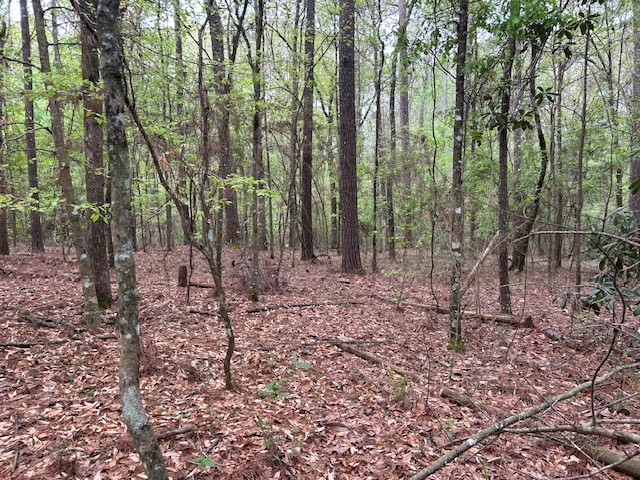 2108 Charlie Boyd Road Jayess, MS 39641 - Photo 14 of 17 Photo 14