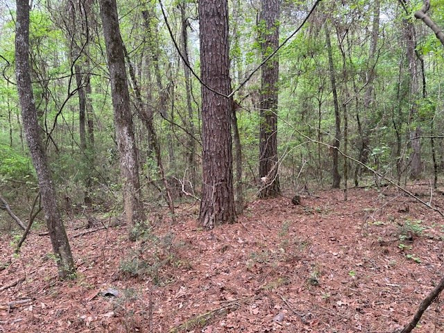 2108 Charlie Boyd Road Jayess, MS 39641 - Photo 15 of 17 Photo 15