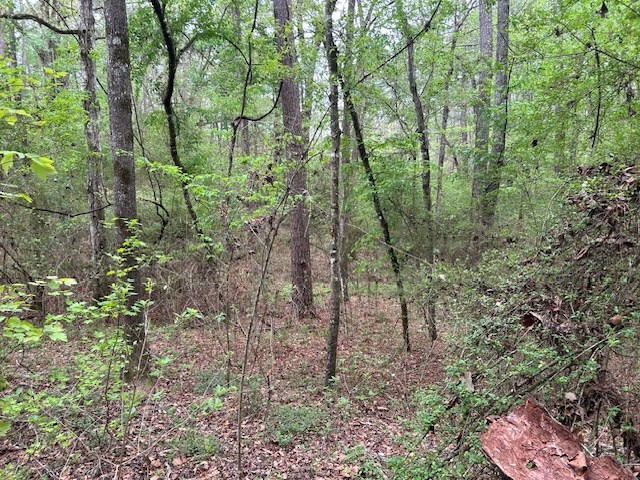 2108 Charlie Boyd Road Jayess, MS 39641 - Photo 16 of 17 Photo 16