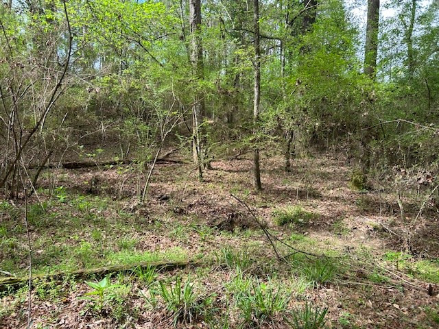 2108 Charlie Boyd Road Jayess, MS 39641 - Photo 17 of 17 Photo 17