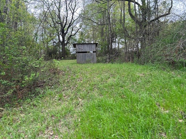 2108 Charlie Boyd Road Jayess, MS 39641 - Photo 8 of 17 Photo 8