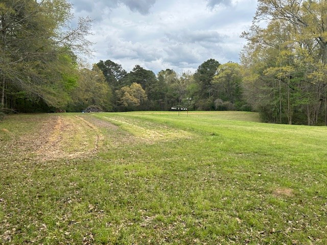 2108 Charlie Boyd Road Jayess, MS 39641 - Photo 9 of 17 Photo 9