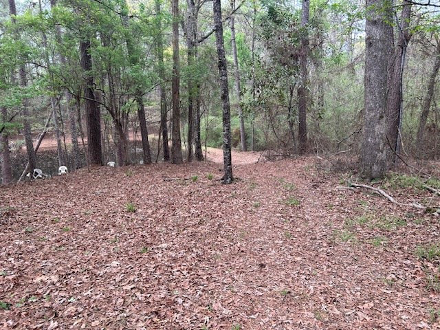 2108 Charlie Boyd Road Jayess, MS 39641 - Photo 10 of 17 Photo 10