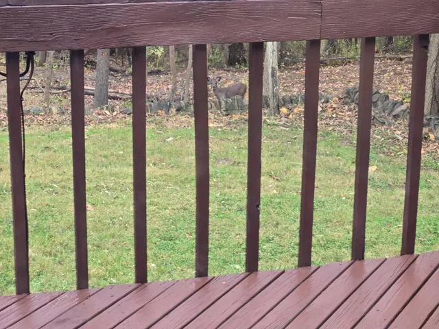 $219,900 | 12122 Deer Ridge Road, Brookville, IN 47012