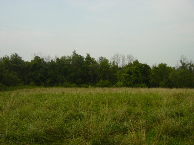 South Ripl SOUTH Ripl Road Dover, KY 41034 - Photo 11 of 14 Gallery Image 11