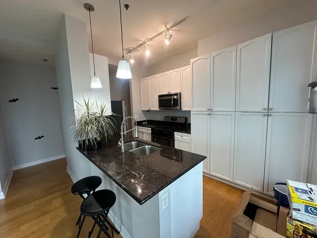 $3,250 | 1400 South Michigan Avenue, Unit 2503, Chicago, IL 60605