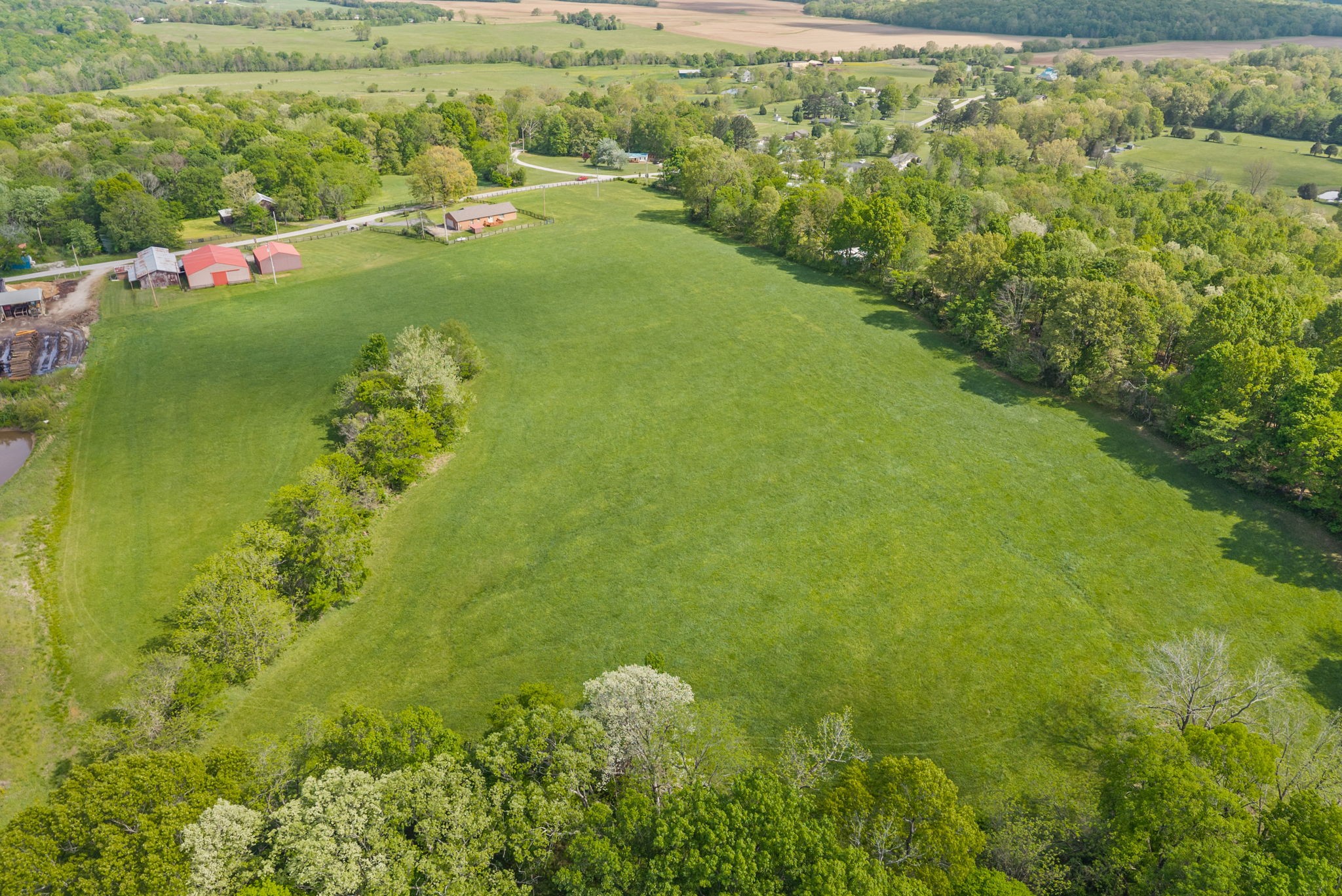 5005 Harmony Grove Road Hopkinsville, KY 42240 - Photo 26 of 41 a view of a green yard with large trees