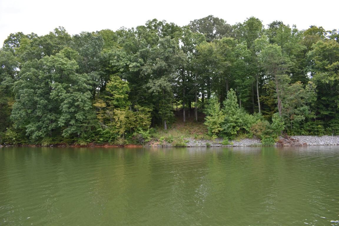 Lot 12 Spring Crossing Dr Spring, Unit 12 Spring City, TN 37381 - Photo 1 of 27 1
