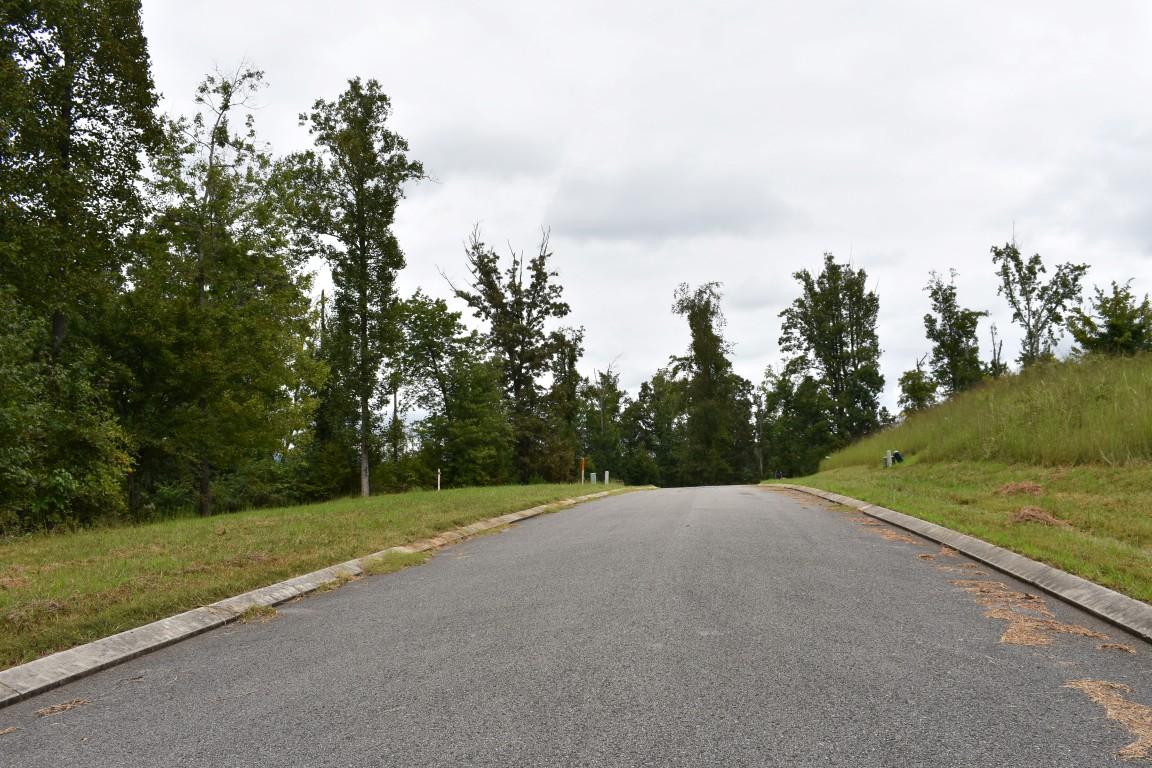 Lot 12 Spring Crossing Dr Spring, Unit 12 Spring City, TN 37381 - Photo 13 of 27 Lot 12 Spring Crossing road 2 (Medium)