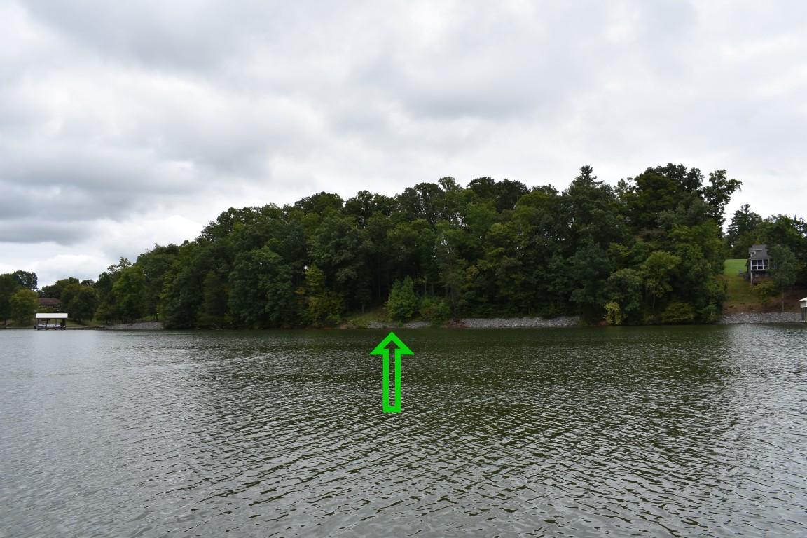 Lot 12 Spring Crossing Dr Spring, Unit 12 Spring City, TN 37381 - Photo 18 of 27 Lot 12 Spring Crossing view from channel