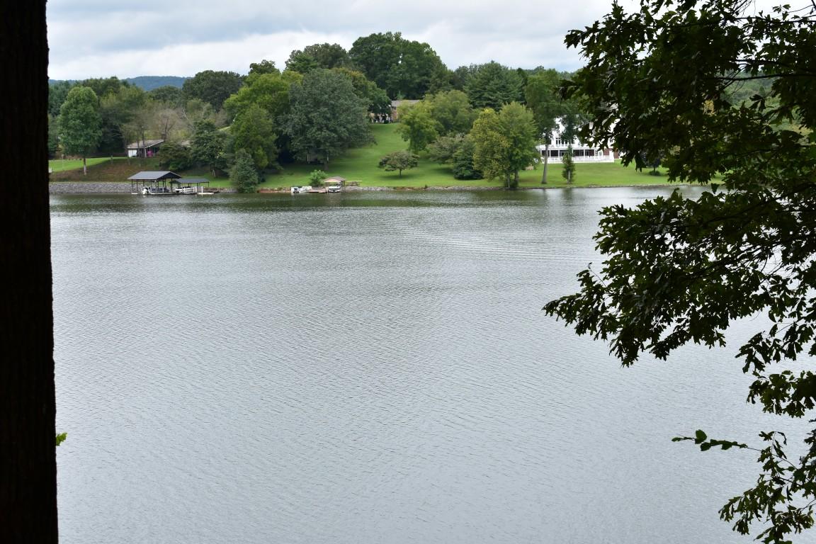 Lot 12 Spring Crossing Dr Spring, Unit 12 Spring City, TN 37381 - Photo 21 of 27 Lot 12 Spring Crossing view from trees (
