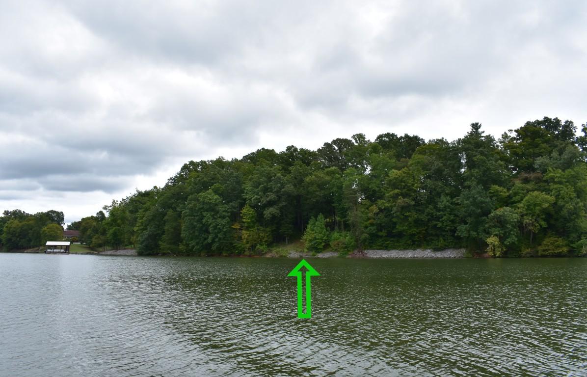 Lot 12 Spring Crossing Dr Spring, Unit 12 Spring City, TN 37381 - Photo 22 of 27 Lot 12 Spring Crossing view from water r