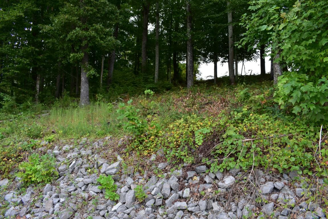 Lot 12 Spring Crossing Dr Spring, Unit 12 Spring City, TN 37381 - Photo 23 of 27 Lot 12 Spring Crossing view from waters