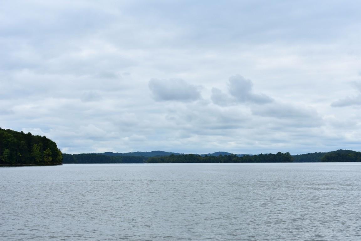 Lot 12 Spring Crossing Dr Spring, Unit 12 Spring City, TN 37381 - Photo 24 of 27 Lot 12 Spring Crossing view from waters