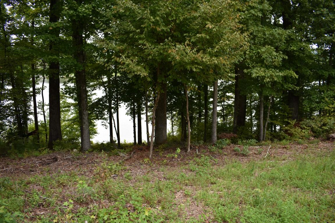 Lot 12 Spring Crossing Dr Spring, Unit 12 Spring City, TN 37381 - Photo 26 of 27 Lot 12 Spring CrossingLake through trees