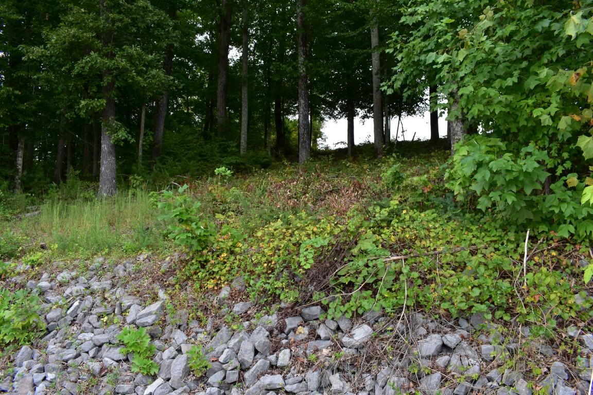 Lot 12 Spring Crossing Dr Spring, Unit 12 Spring City, TN 37381 - Photo 4 of 27 Lot 12 Spring Crossing from rip rap up (