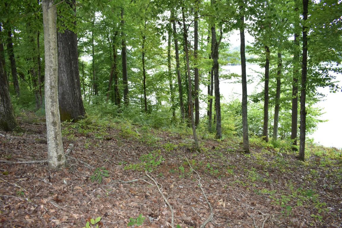 Lot 12 Spring Crossing Dr Spring, Unit 12 Spring City, TN 37381 - Photo 5 of 27 Lot 12 Spring Crossing lake left (Medium