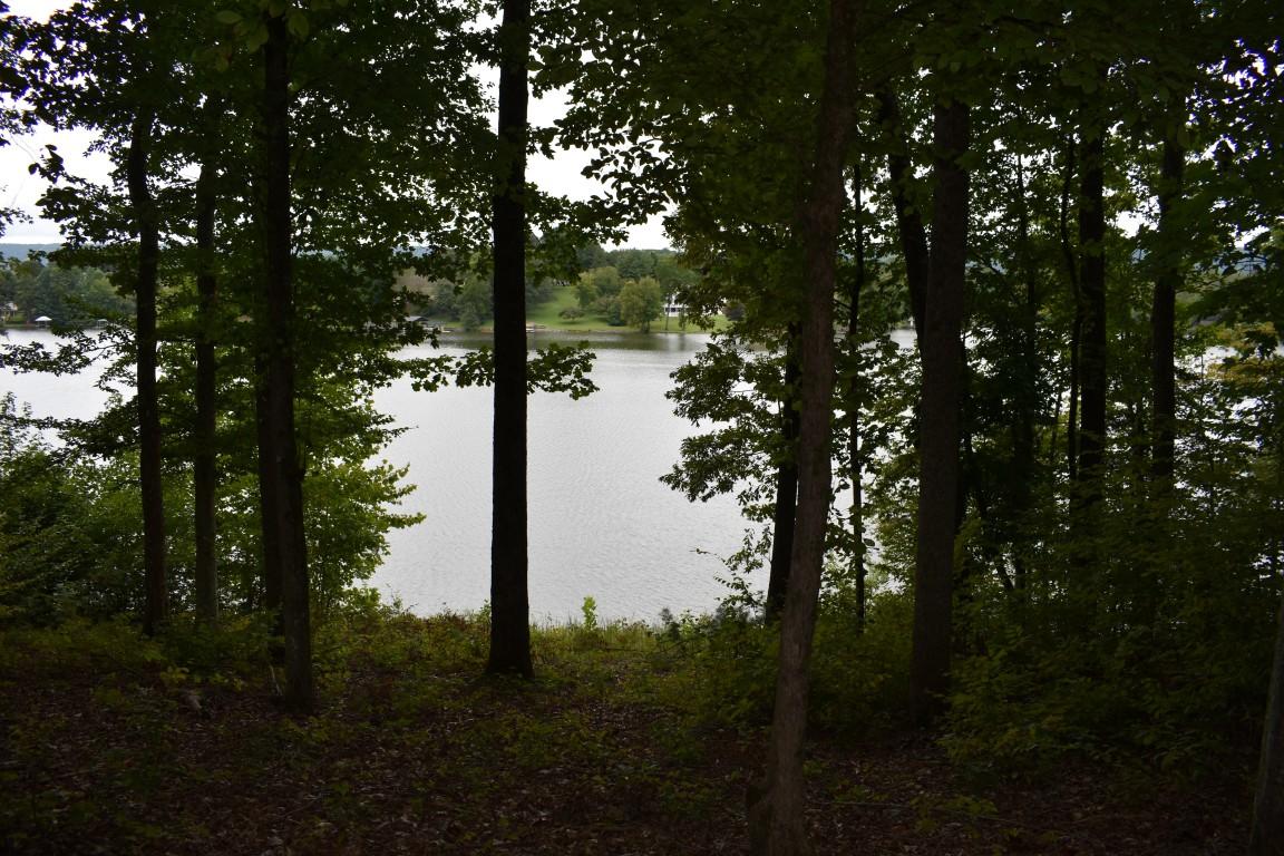 Lot 12 Spring Crossing Dr Spring, Unit 12 Spring City, TN 37381 - Photo 6 of 27 Lot 12 Spring Crossing lake through tree