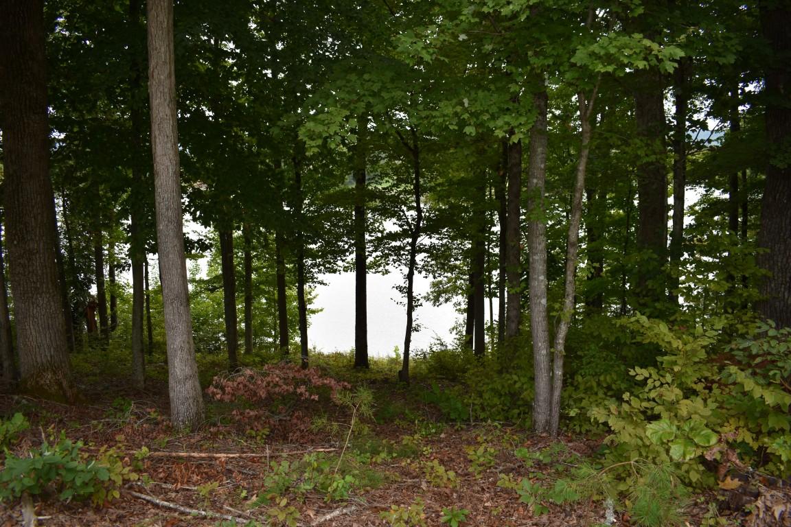 Lot 12 Spring Crossing Dr Spring, Unit 12 Spring City, TN 37381 - Photo 7 of 27 Lot 12 Spring Crossing lake thru trees (