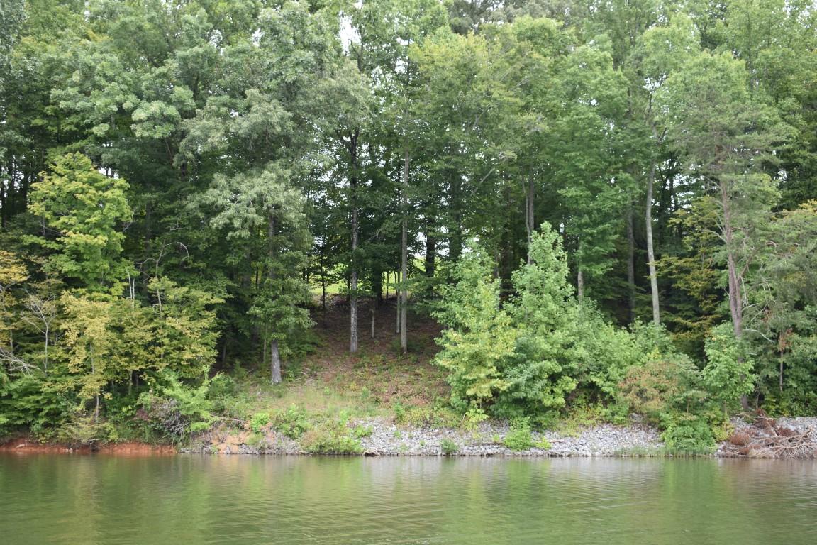 Lot 12 Spring Crossing Dr Spring, Unit 12 Spring City, TN 37381 - Photo 8 of 27 Lot 12 Spring Crossing lot from lake clo
