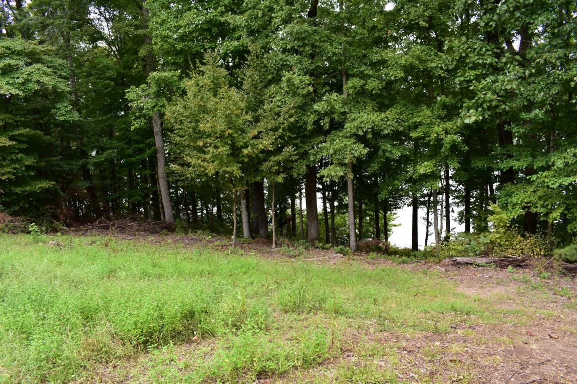 Lot 12 Spring Crossing Dr Spring, Unit 12 Spring City, TN 37381 - Photo 9 of 27 Lot 12 Spring Crossing mid lot (Medium)
