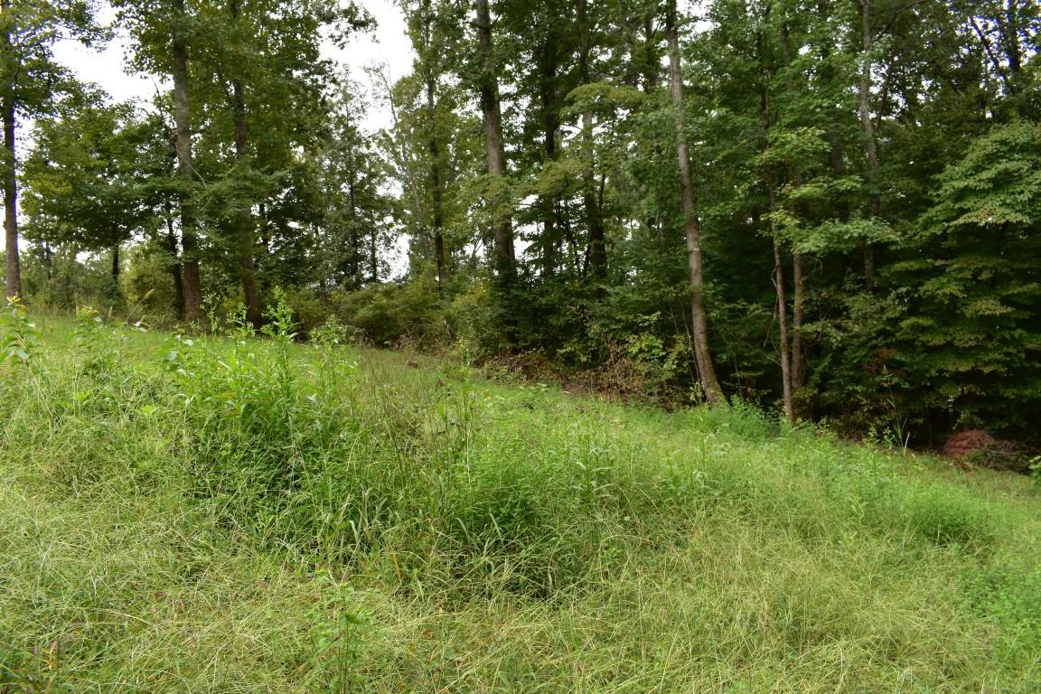 Lot 12 Spring Crossing Dr Spring, Unit 12 Spring City, TN 37381 - Photo 10 of 27 Lot 12 Spring Crossing mid lot 2 (Medium
