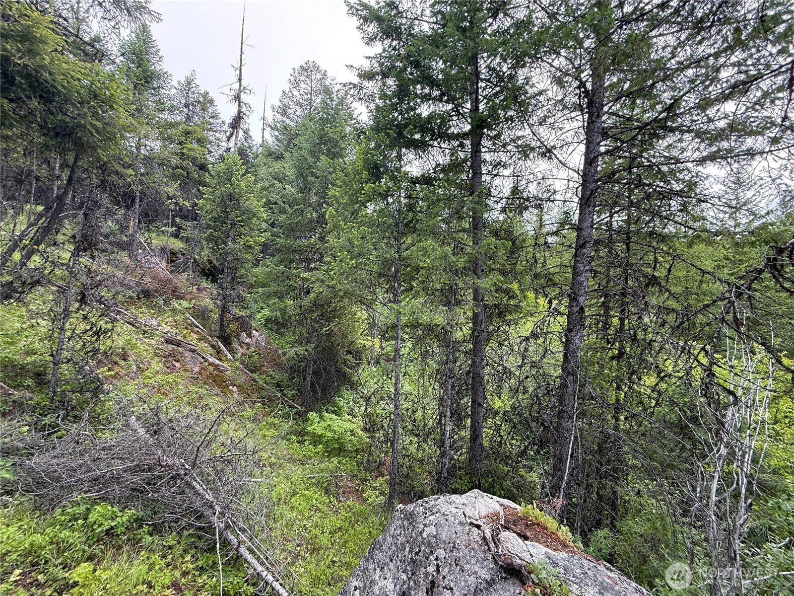 -tbd Mule Deer Road Republic, WA 99166 - Photo 7 of 11