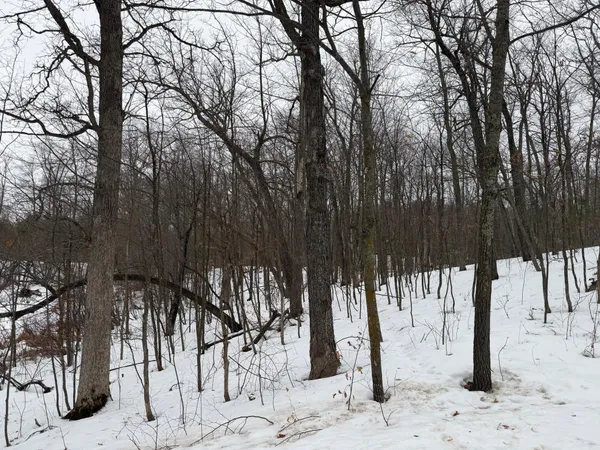 $375,000 | Tbd White Fish Road, Garrison, MN 56450