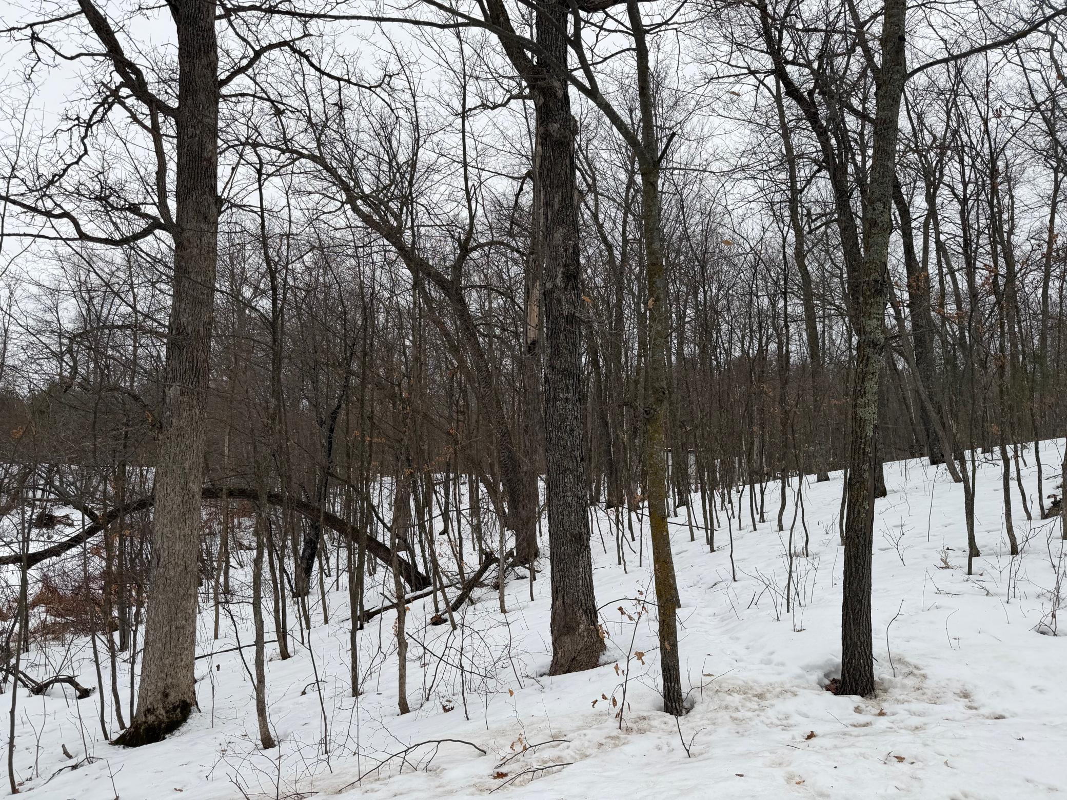 Tbd White Fish Road Garrison, MN 56450 - Photo 11 of 13