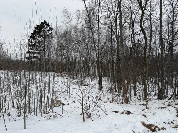 $375,000 | Tbd White Fish Road, Garrison, MN 56450