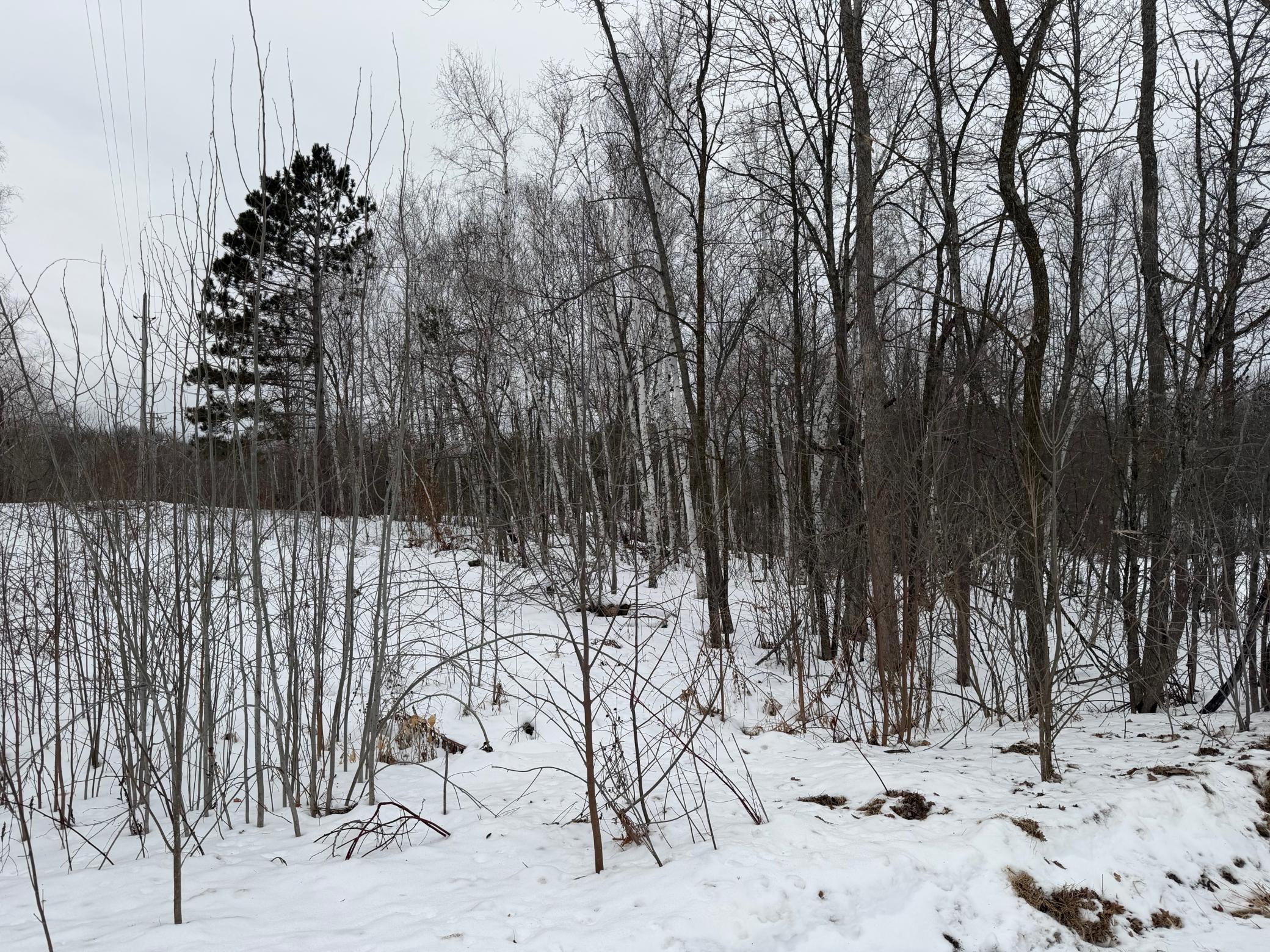 Tbd White Fish Road Garrison, MN 56450 - Photo 12 of 13