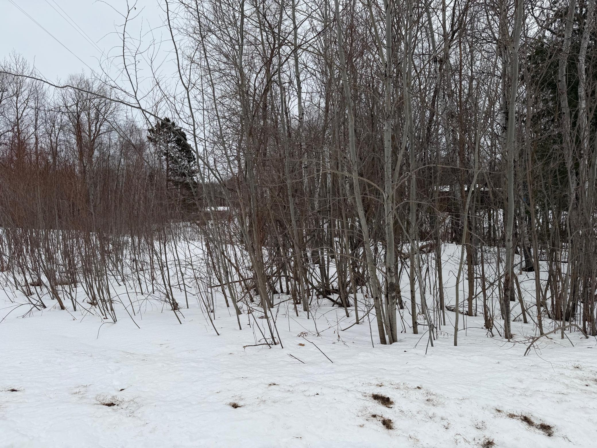 Tbd White Fish Road Garrison, MN 56450 - Photo 6 of 13