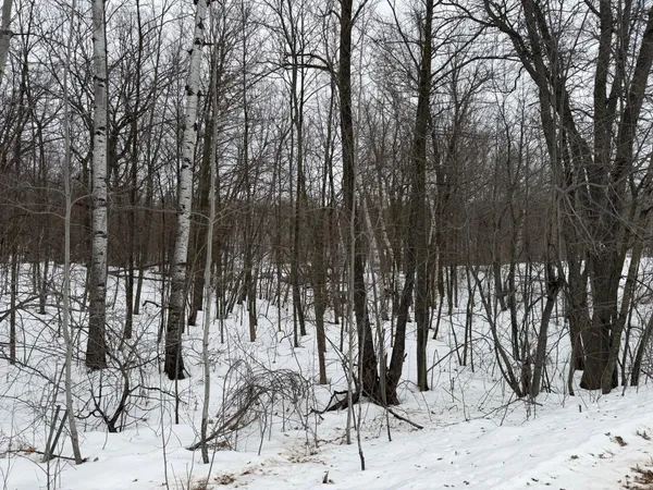 $375,000 | Tbd White Fish Road, Garrison, MN 56450