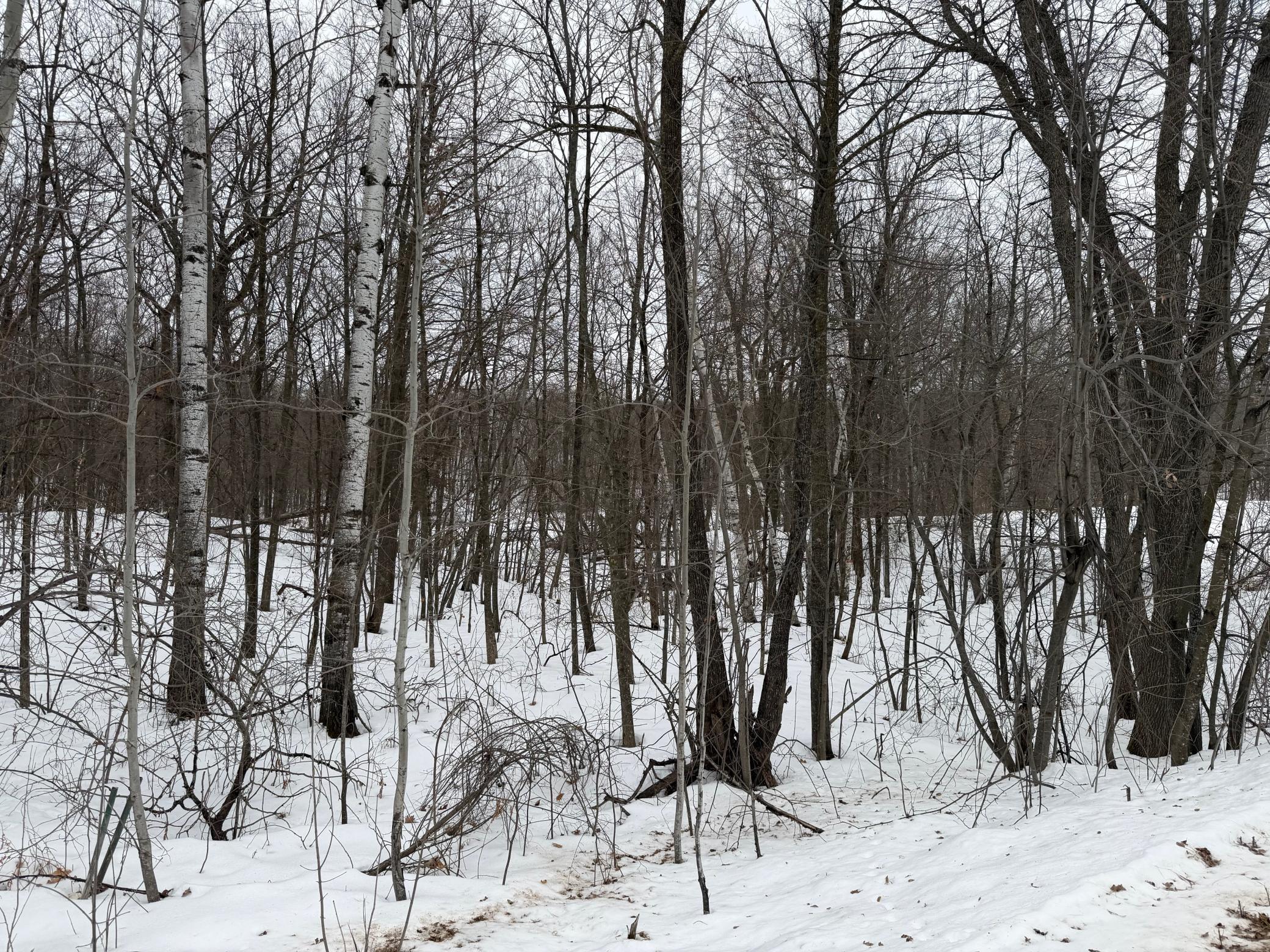 Tbd White Fish Road Garrison, MN 56450 - Photo 7 of 13