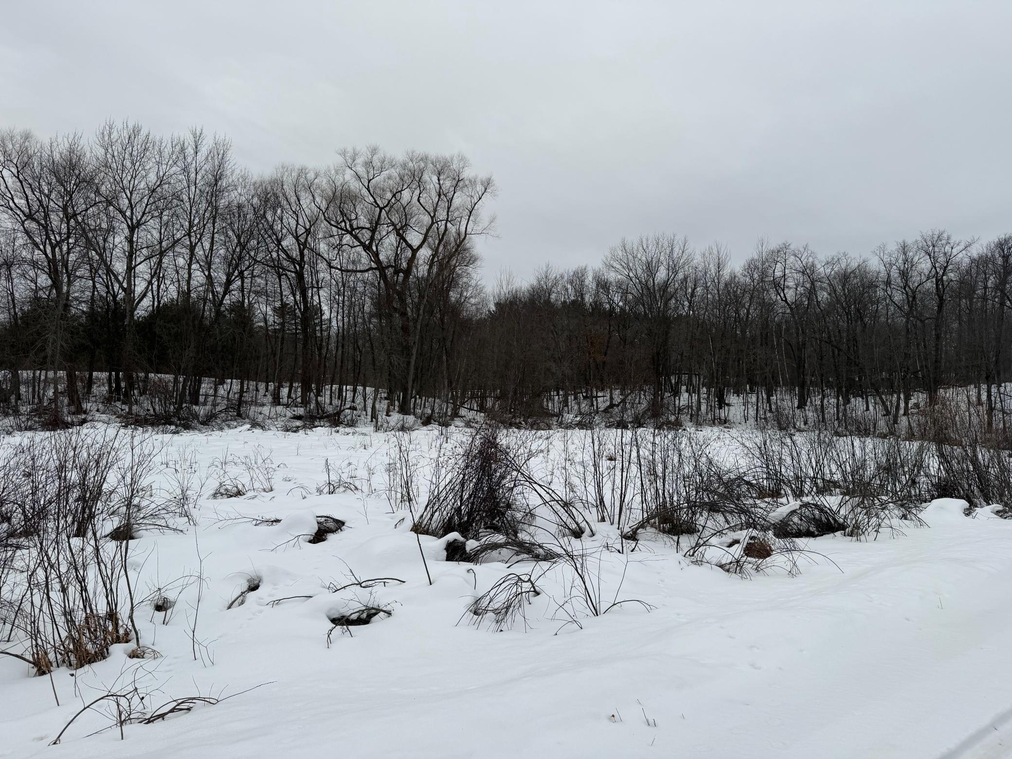 Tbd White Fish Road Garrison, MN 56450 - Photo 8 of 13