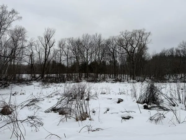 $375,000 | Tbd White Fish Road, Garrison, MN 56450