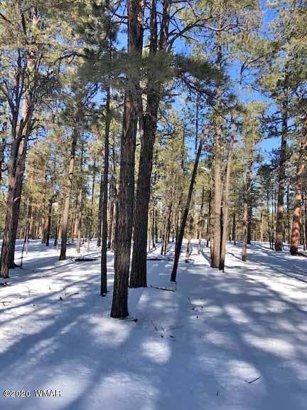 6 County Road Alpine, AZ 85920 - Photo 13 of 13
