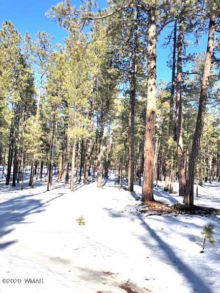6 County Road Alpine, AZ 85920 - Photo 2 of 13