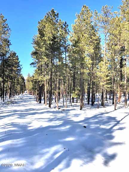 6 County Road Alpine, AZ 85920 - Photo 4 of 13