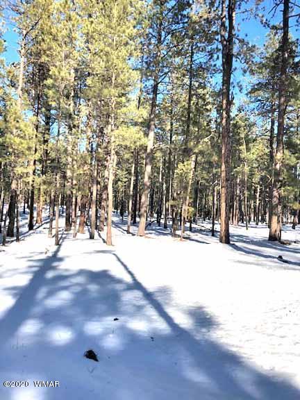 6 County Road Alpine, AZ 85920 - Photo 5 of 13