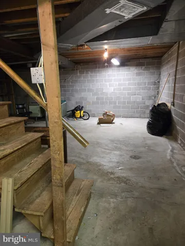 a view of a yard with plants and large trees